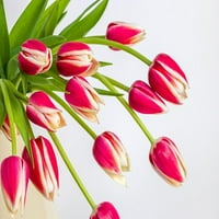 Gomila crvenih tulipana od strane Assaf Franka