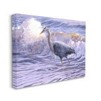 Stupell Industries Crane ptica prskanje okeanskim talasima obalna fotografska galerija zamotana platna