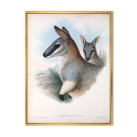PROIZVODNJAK Drevna kengur seoska kuća uokvirena platna zidna umjetnička štampa