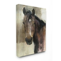 Stupell Industries muški portret konja Zapadni smeđe preplanuli pastuh slika umjetnički dizajn na platnu
