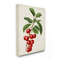 Stupell Industries Vintage Fruit Cherry Painting Canvas Wall Art by Vision Studio