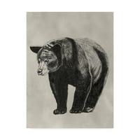 Zaštitni znak likovne umjetnosti 'medvjed sa olovkom i mastilom II' umjetnost na platnu Naomi McCavitt