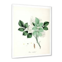 Designart' Ancient Blossoming Flower IV ' seoska kuća uokvirena umjetnički Print